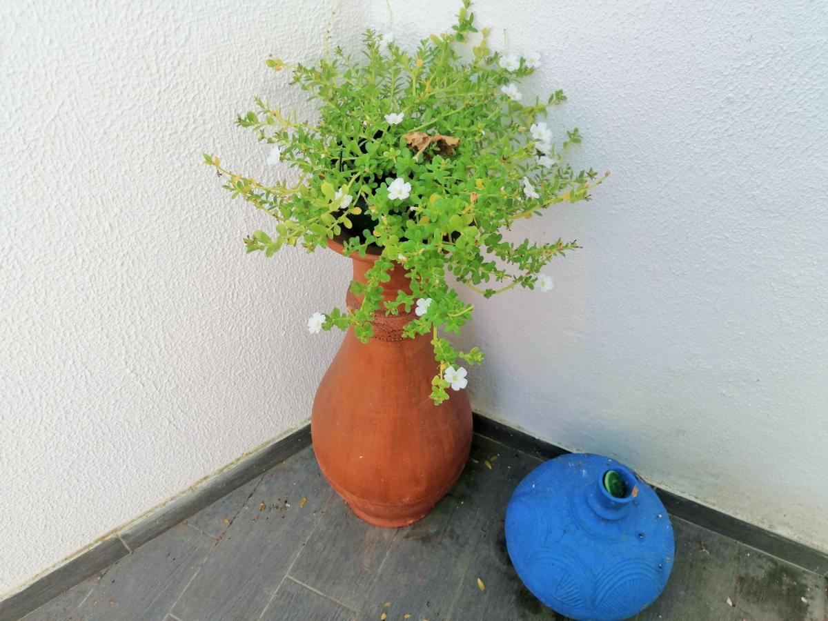 Lilac Homestay Setubal Exterior photo